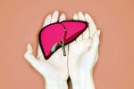 Superfoods that can help to support Liver Health