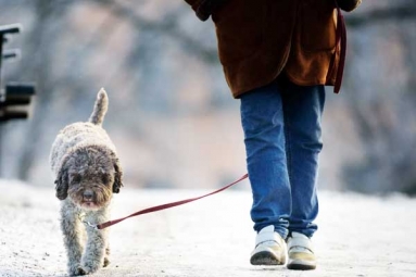 Ten Minute Minute Walk after Meal Can Help Lower Blood Sugar Levels
