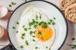 weight, eggs, top 5 benefits of eggs that ll make you to eat them every day, World egg day