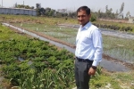 agriculture, agriculture, this u s return mba graduate is transforming a village barren land into an organic farming facility, Family business
