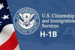 USICS latest report, USICS on H1B visas, uscis report claims more than 74 percent of indians accounted on h1b visas, Usics report