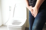 Urinary tract infection news, Urinary tract infection, urinary tract infection and the impacts, Bacteria