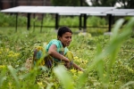 villages in punjab, NRIs in Punjab, villagers in punjab relying more on nris for development than on politicians, Female students