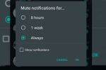 wallpaper, chats, whatsapp to bring always mute option for chats on android, Wallpaper