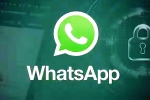 iOS Testing Multi-Account Support for WhatsApp breaking updates, iOS Testing Multi-Account Support for WhatsApp breaking, whatsapp for ios testing multi account support, Whatsapp