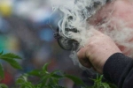 Marijuana, Marijuana, deadline looms for michigan s legislature to decide on recreational pot, Michigan legislature