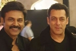 Salman Khan, Salman Khan, watch salman khan shake legs with venkatesh at his daughter aashritha daggubati s wedding, Ali abbas zafar s