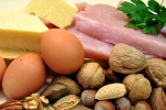 protein rich foods, tissues, why protein is an important part of your healthy diet, Insulin