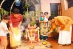 tulsi is the holy basil, Plant Tulsi, tulsi puja, Hindu ritual tulsi is the holy basil, Plant Tulsi, tulsi puja, Hindu ritual