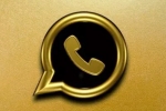 whatsapp, whatsapp gold scam message, beware whatsapp gold is back that puts your personal data in risk, Whatsapp web