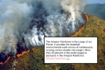 how big is the amazon rainforest, amazon forest wildfires, in pictures devastating fires in amazon rainforest visible from space, Wmo