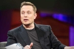 Elon Musk net worth, Twitter, elon musk to buy twitter for 44 billion usd, Donald trump