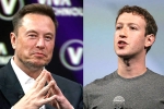 Elon Musk and Mark Zuckerberg news, Elon Musk and Mark Zuckerberg, elon vs zuckerberg mma fight ahead, Mark zuckerberg