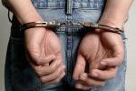 Indian-origin pleaded guilty to money laundering, Indian-origin sentenced jail for money laundering, indian origin pleaded guilty to money laundering, Krishen sauble iyer