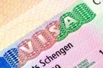 Schengen visa for Indians 2024, Schengen visa for Indians breaking, indians can now get five year multi entry schengen visa, Ntr