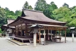 Japan Viral Mikami Shrine breaking updates, Japan Viral Mikami Shrine viral, why are travellers flocking to japan s viral mikami shrine, Travel Japan Viral Mikami Shrine breaking updates, Japan Viral Mikami Shrine viral, why are travellers flocking to japan s viral mikami shrine, Travel