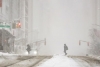 Massive Snowstorm Hits US: Over 5600 Flights Cancelled