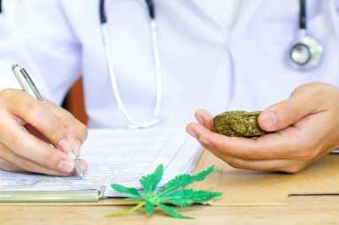 Michigan Approves Medical Marijuana for 11 New Medical Conditions