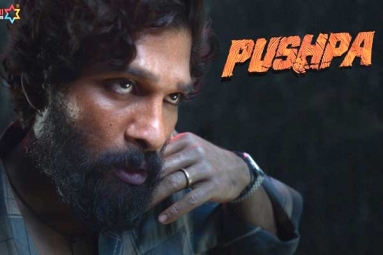 Pushpa to be released in two Installments?