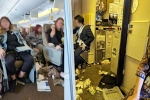 Singapore Airlines turbulence horror news, Singapore Airlines, one dead and 30 injured in singapore airlines turbulence horror, Singapore airlines