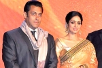 Salman Khan, Salman Khan updates, sridevi to work with salman khan, English vinglish