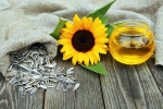 Sunflower seeds breaking, Sunflower seeds rich in, sunflower seeds and their nutritional benefits, Healthy breakfast