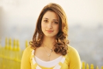 Tamannaah news, Tamannaah new movie, tamannaah locked for a bollywood remake, Milky beauty Tamannaah news, Tamannaah new movie, tamannaah locked for a bollywood remake, Milky beauty