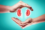 World Kidney Day 2025 health, World Kidney Day 2025 experts, world kidney day 2025 theme and health tips, Usa