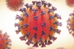 Coronavirus health struggles, Coronavirus breaking news, coronavirus is not related to respiratory system says study, Body organs Coronavirus health struggles, Coronavirus breaking news, coronavirus is not related to respiratory system says study, Body organs
