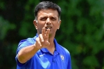 Rahul Dravid paycheque, Team India, rahul dravid to lead team india as head coach, Bcci president