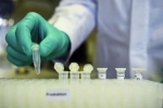 strain, mutation, not enough mutants in coronavirus in india to inflict concern, Global development