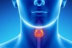 Throat Cancer types, Throat Cancer Risk Factors, how to prevent throat cancer, Throat cancer prevention
